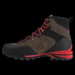 Hot DOLOMIA GTX Shoes|Outlet
