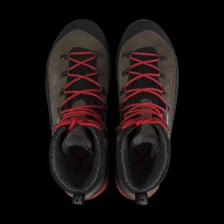 Hot DOLOMIA GTX Shoes|Outlet